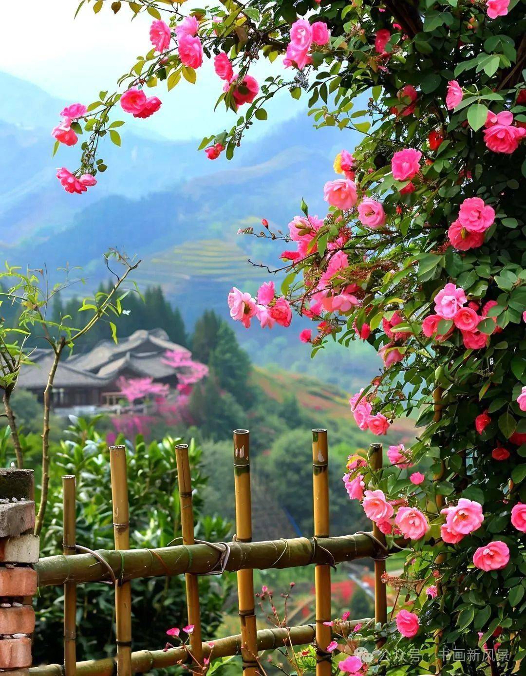 太美了，简直是世外桃源！_搜狐网