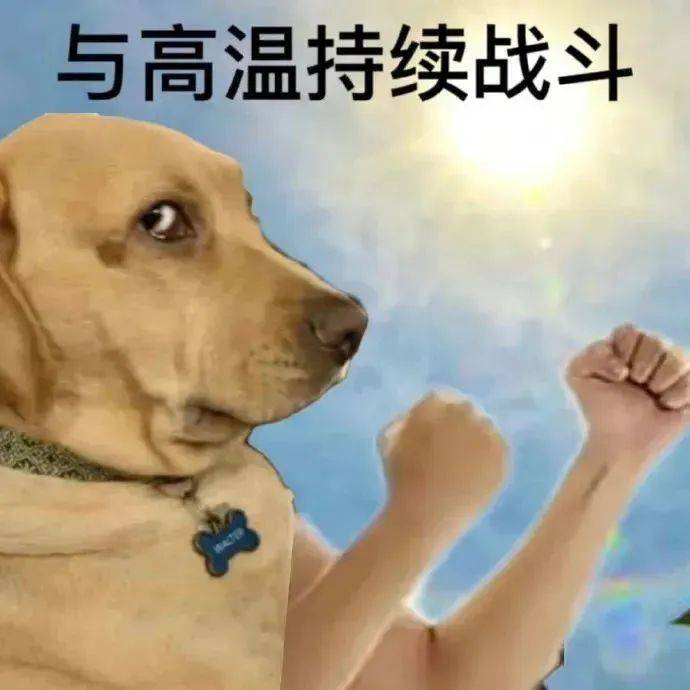 掐掐掐.掐你!表情包