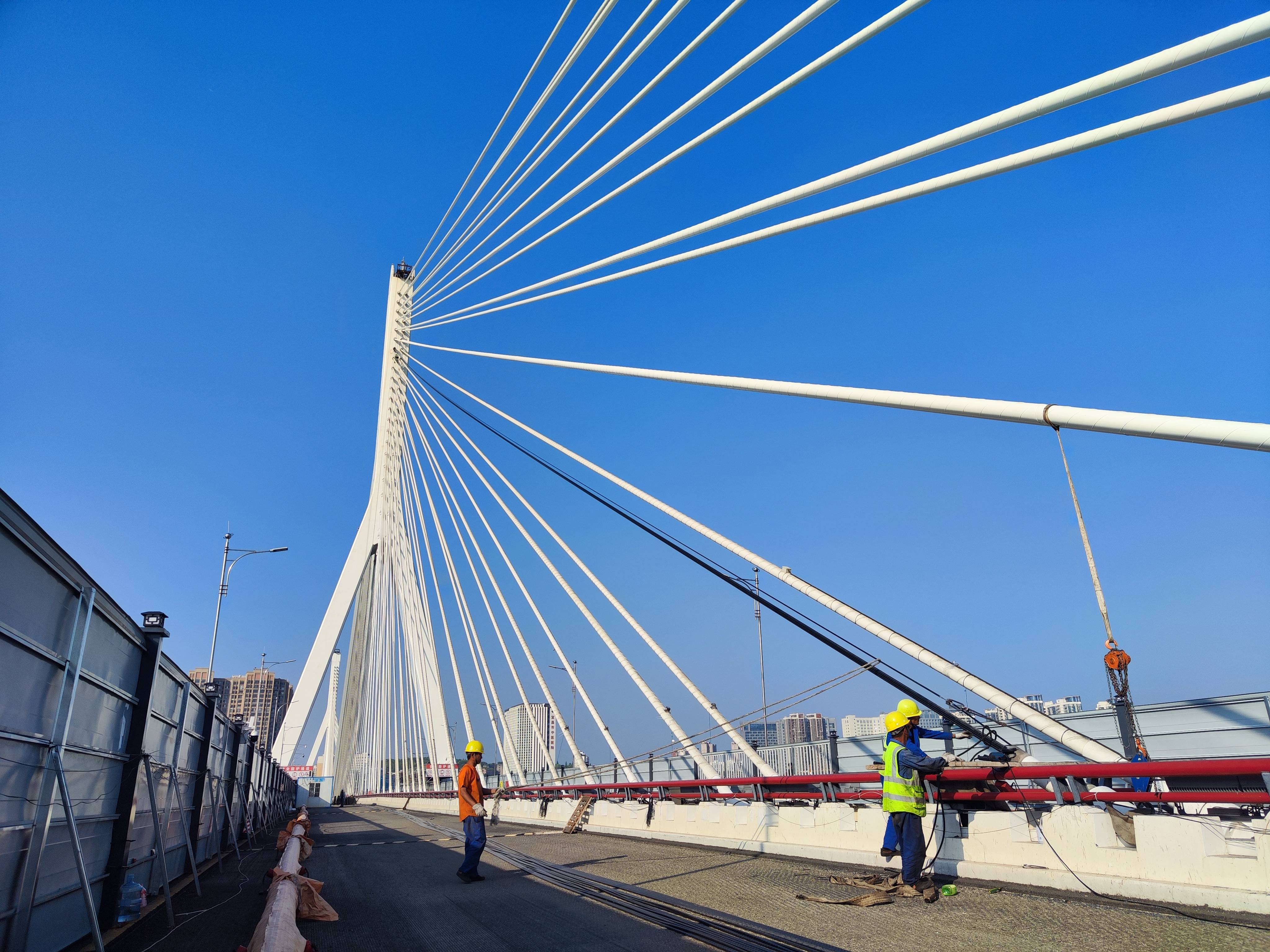 国内首座！宜昌夷陵长江大桥236根钢绞线斜拉索更换完成