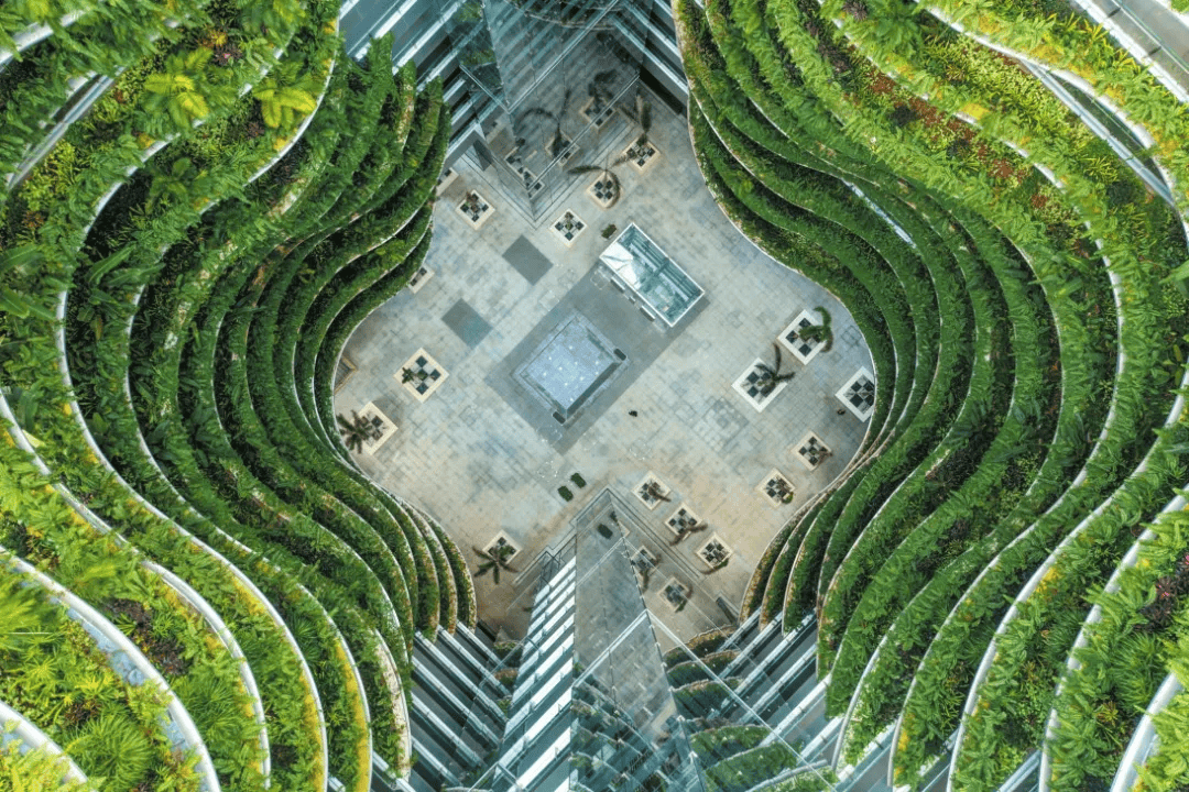 生态江东,尽显绿色宜居之美_海口_新区_建筑