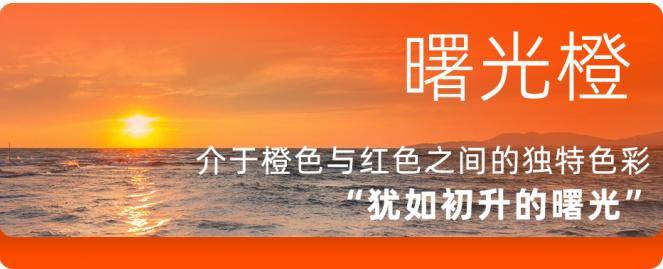 🌸新京报【2024澳门天天彩免费正版资料】|江西庐山乡村医生程梓桉：扎根基层守护村民健康  第1张