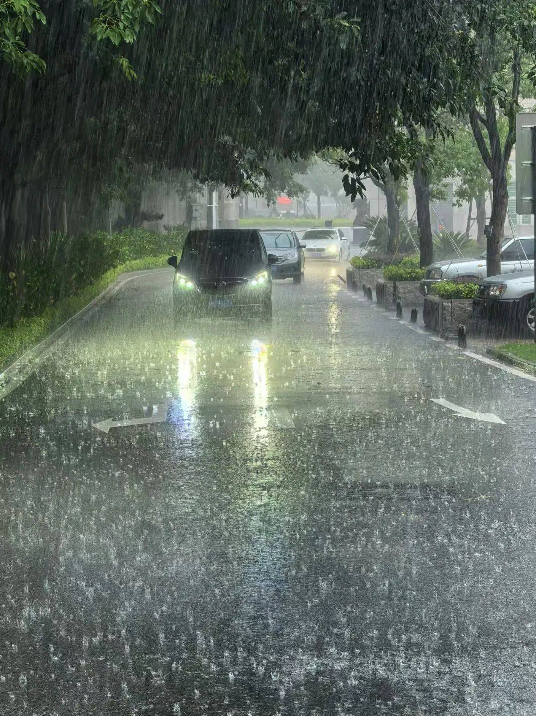 武汉暴雨大风图片