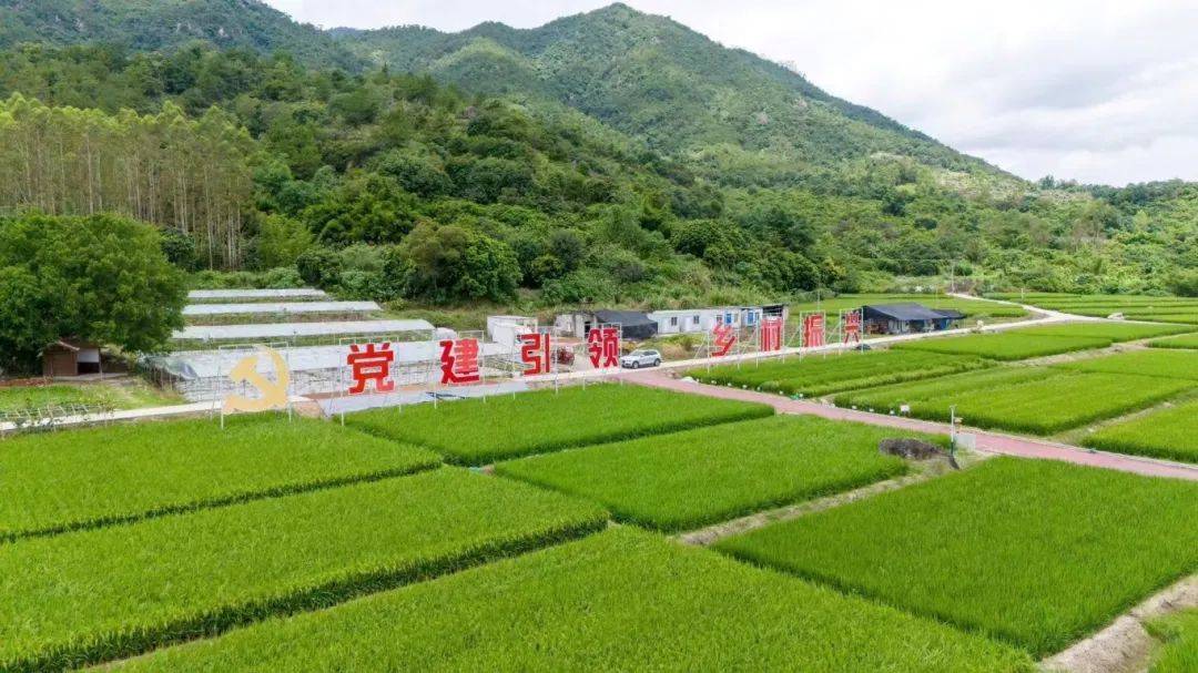 富民强村建设的"莲花经验" | 城乡精神文明融合 "融"出美好新生活