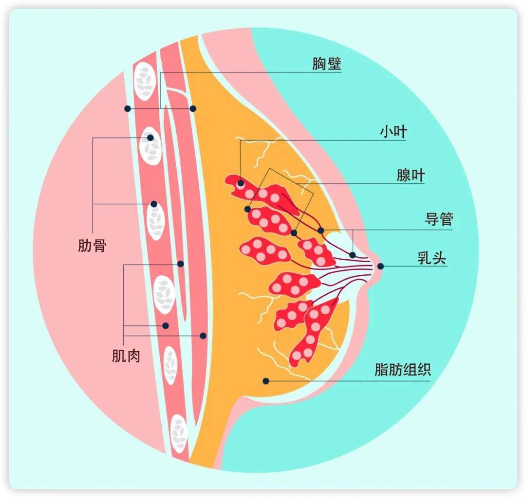 你有过吗→乳房像针扎一样刺痛,究竟是怎么回事?