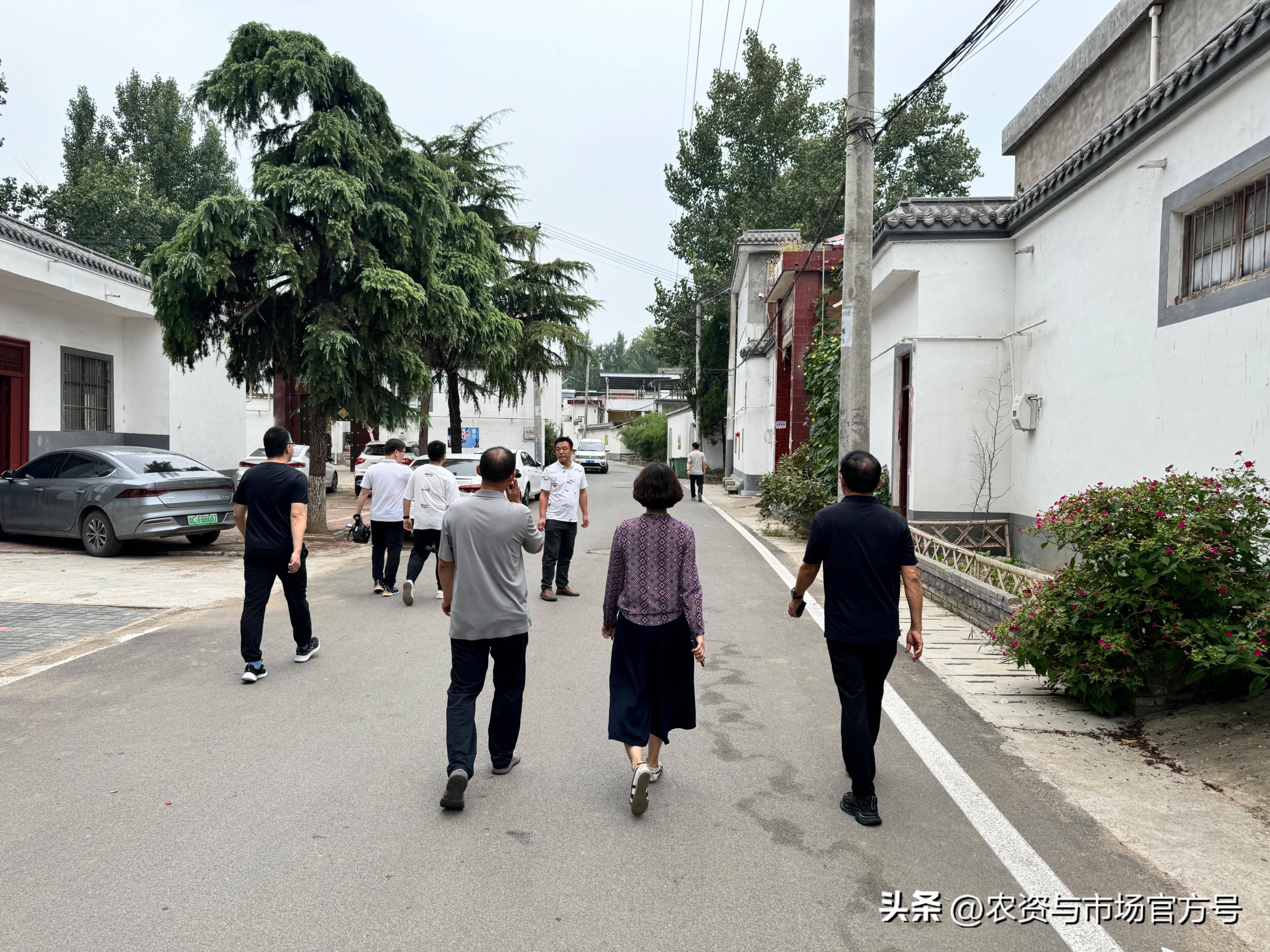 嵩县闫庄镇店上村:乡村振兴的璀璨明珠#总编走基层#嵩县正振兴