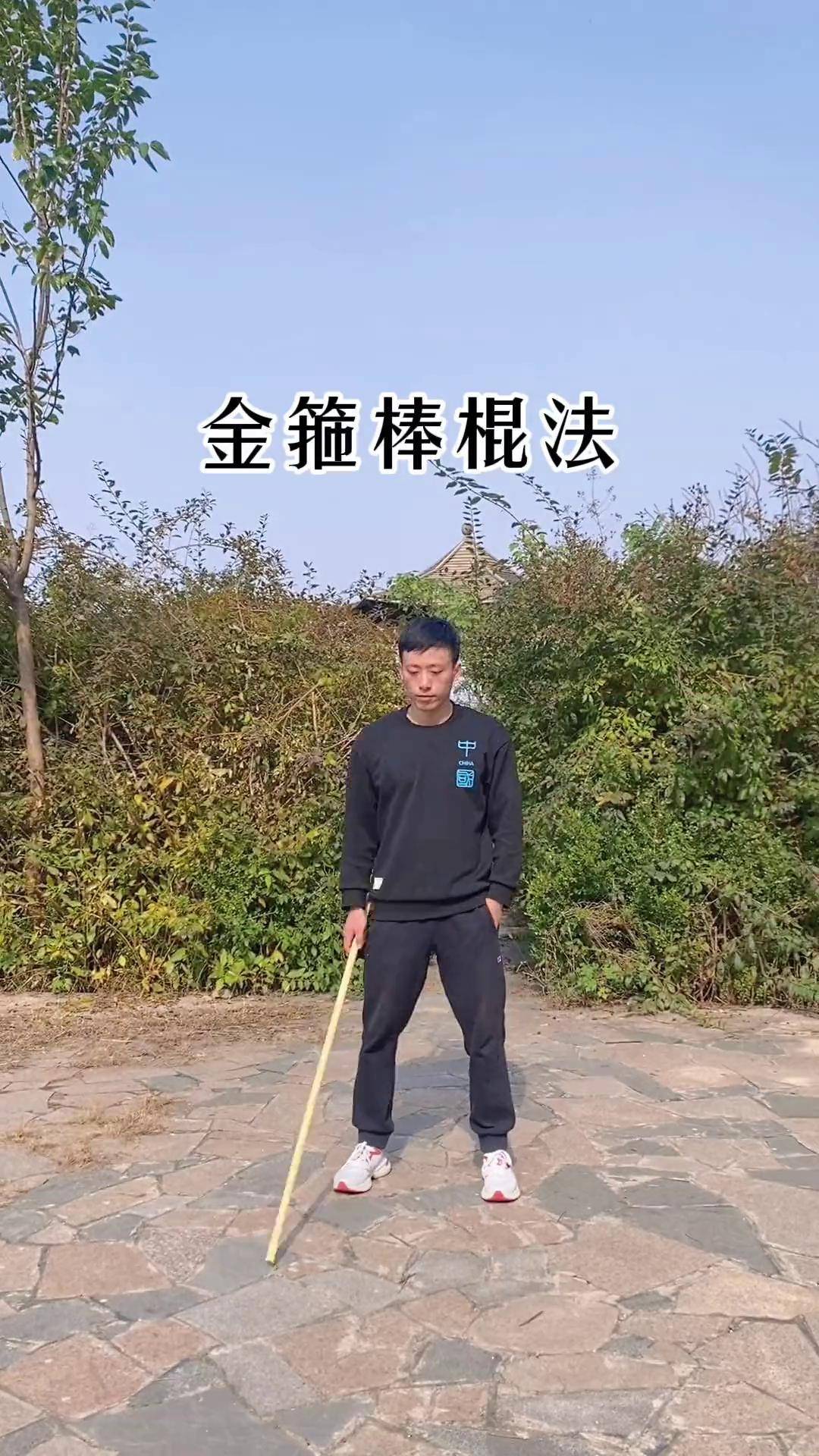 金箍棒 棍法 刚学的技能