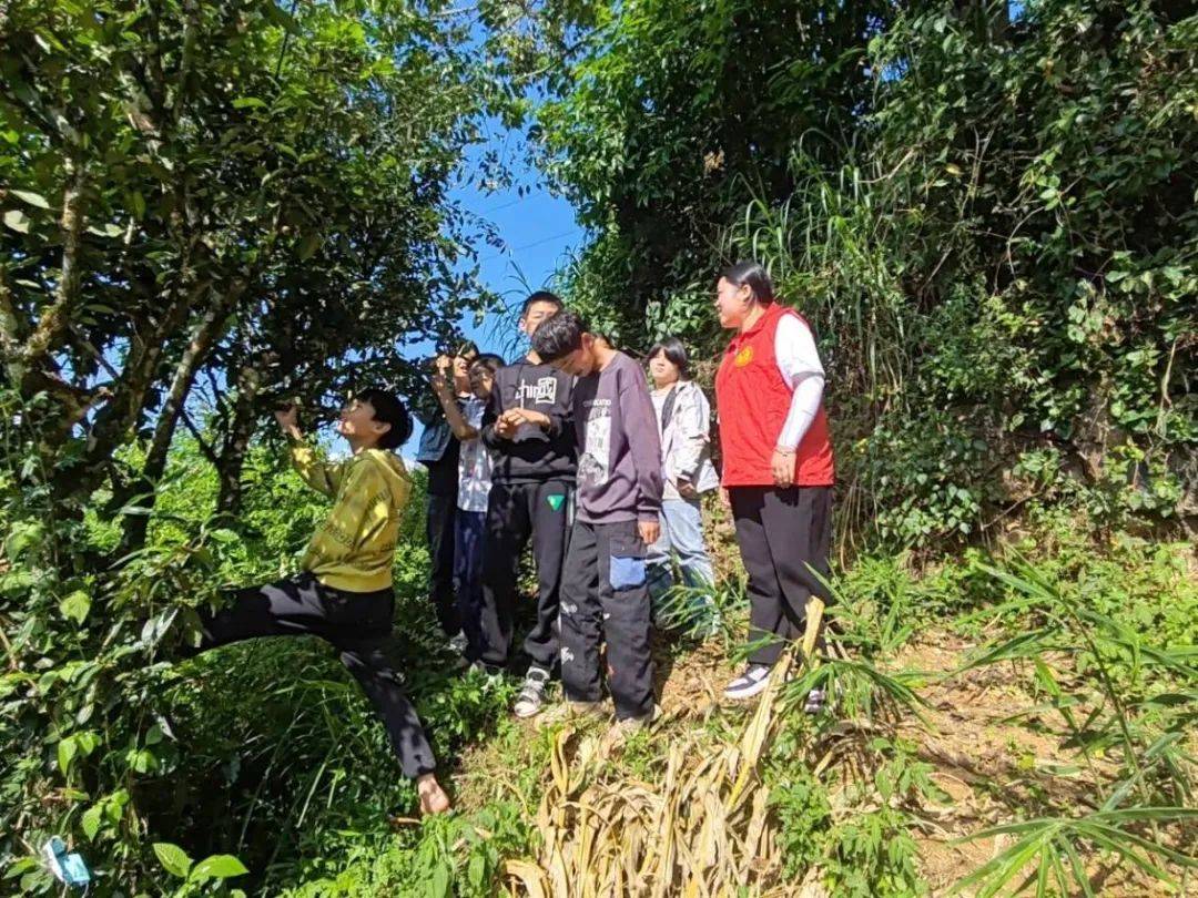 关心关爱|西畴县法斗乡:"育苗 " 这场"茶"文化传承活动浸润童心