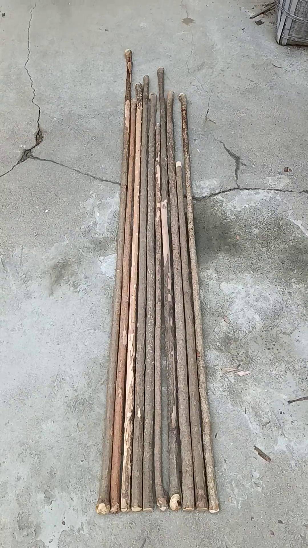 晚上直播间老金刚放漏乌琪木艺 金刚木 武术棍