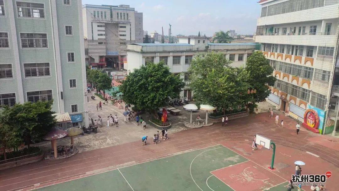 钦州的小学今天开始注册,这份开学季交通安全锦囊请收好!