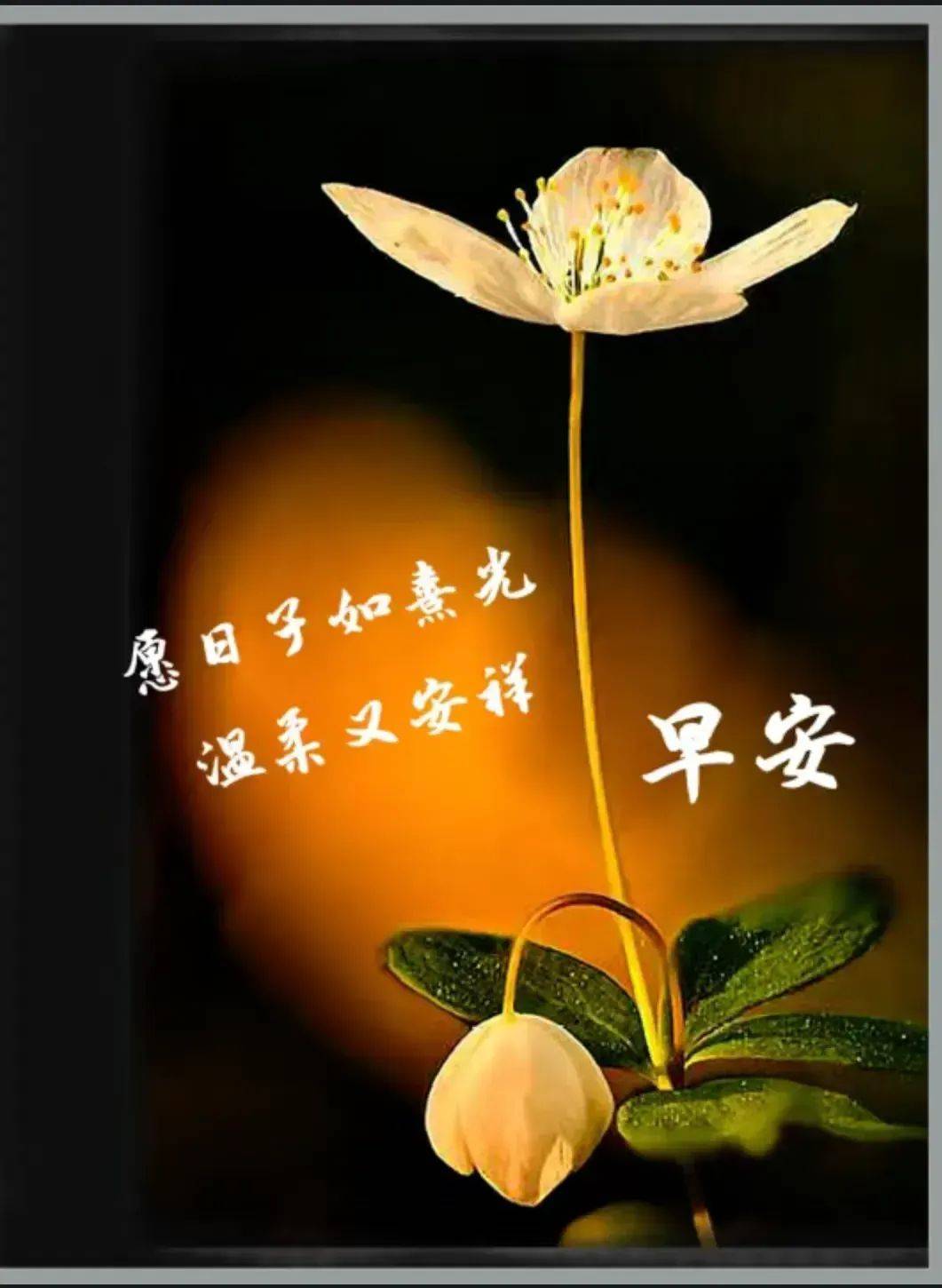 31周六创意唯美问候图片:九月,让我们一起把生活的烦恼丢到一边,今天