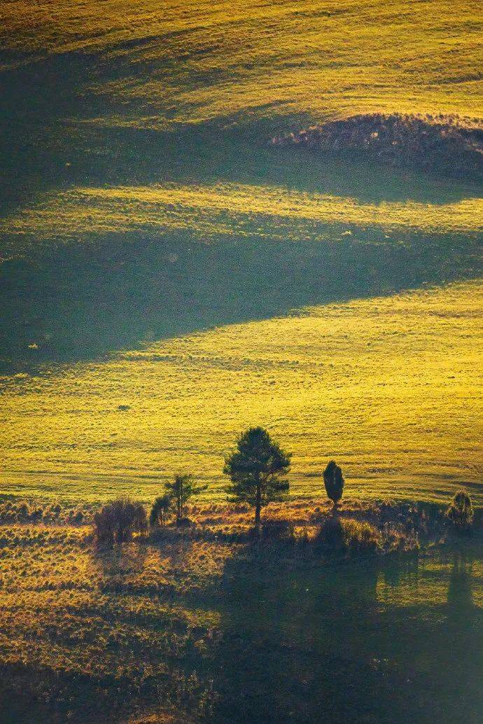 摄影 | 暮光拂过大地,晓雾浸透山脉