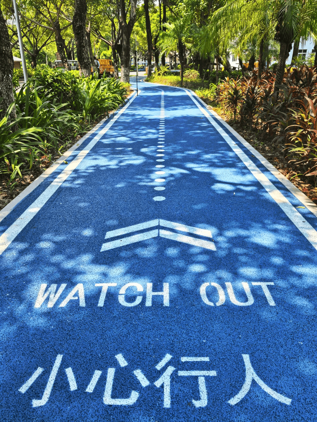 蓝色透水跑道一边是绿树成荫的园博苑一边是碧波荡漾的杏林湾水面厦门