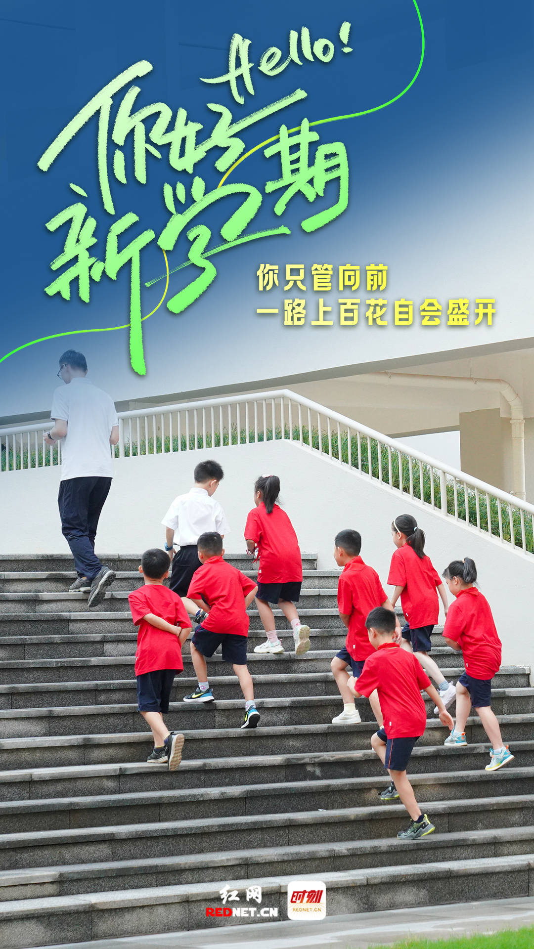 扶绥县崇青园中学图片