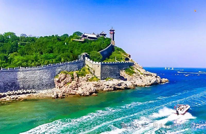 国庆4天|又见61长岛养马岛|与海鸥同行の深度游长岛