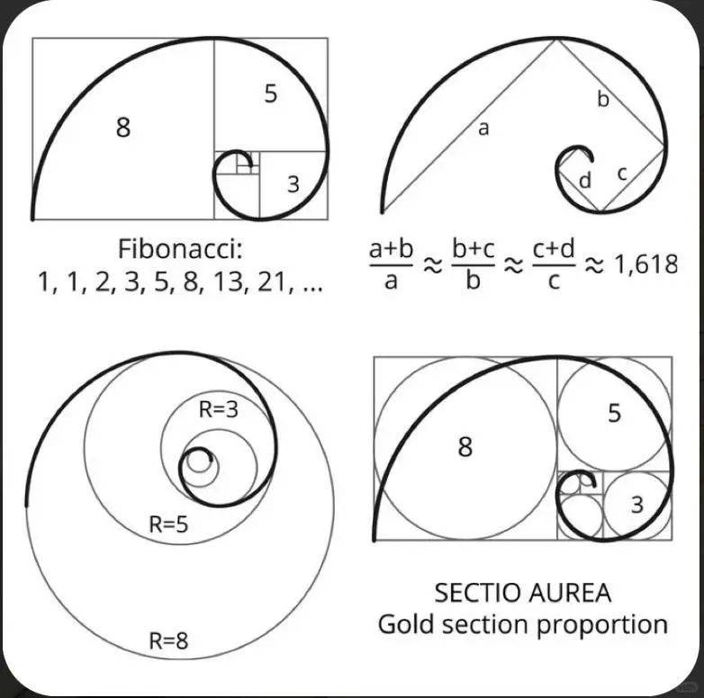 斐波那契数列是历史上最著名的数列之一,于1202年由比萨的列奥纳多在