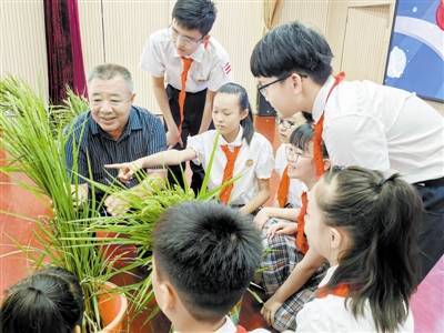 同望小学校服图片