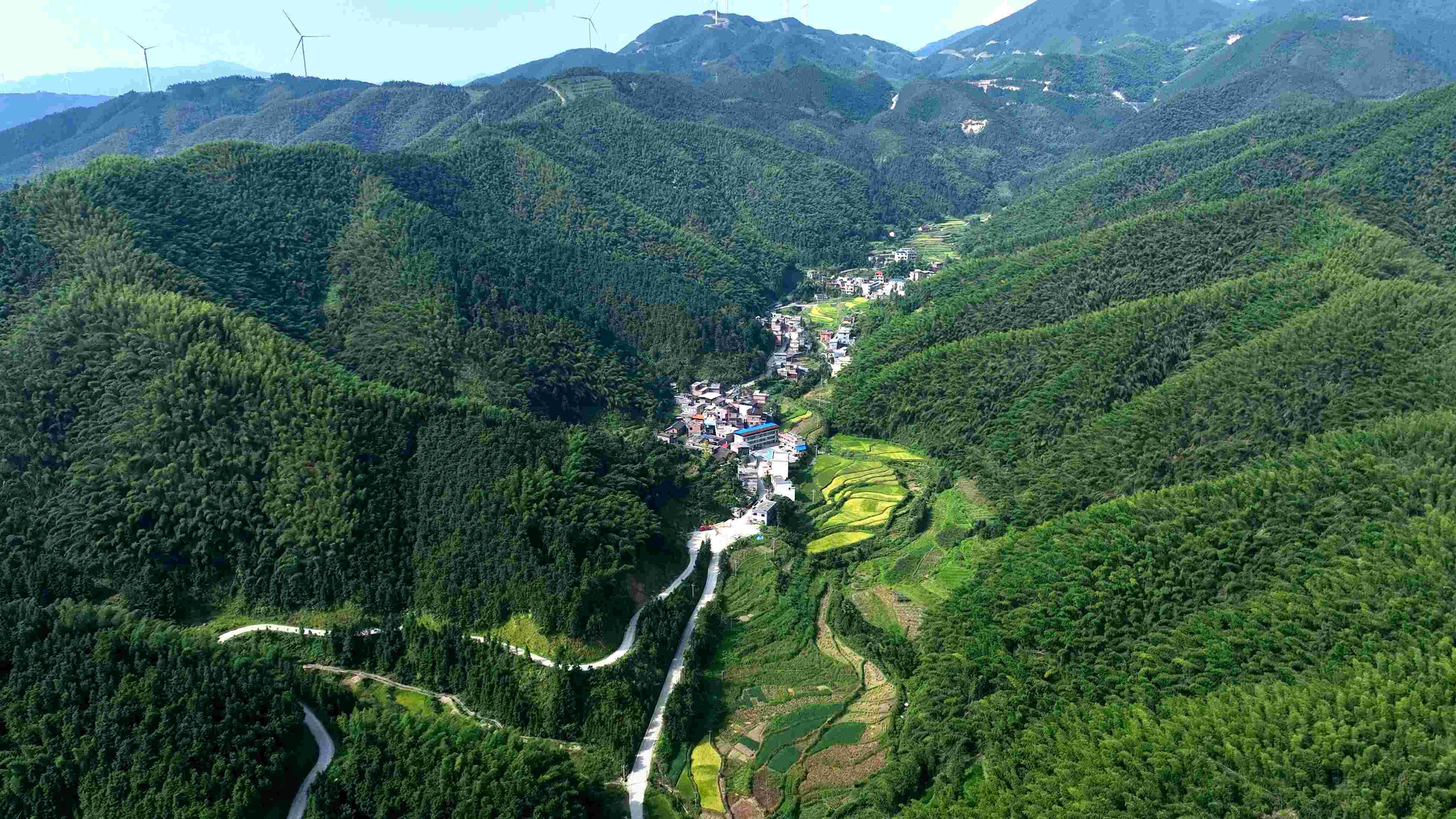 蓝山县:"工厂长"变身"村支书" 让家乡发展蒸蒸日上