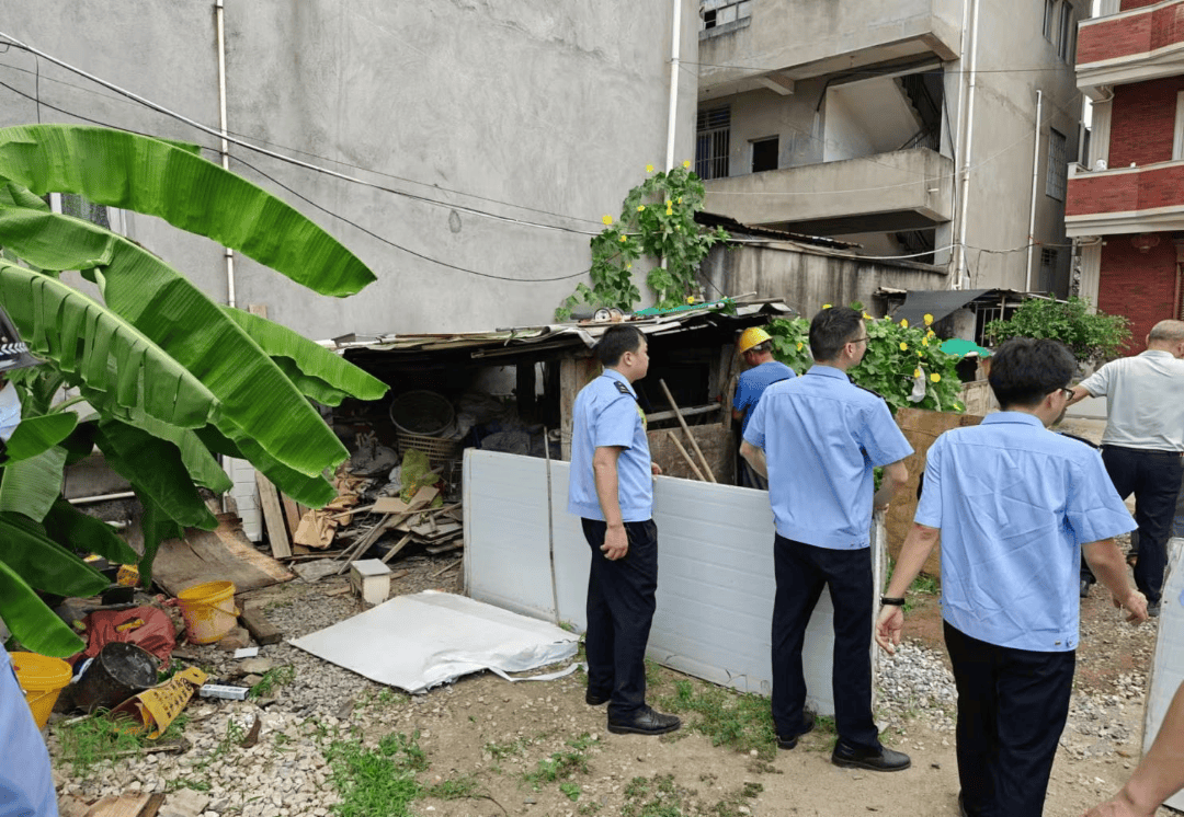乱搭乱建物业怎么管(小区物业乱搭乱建归谁管)