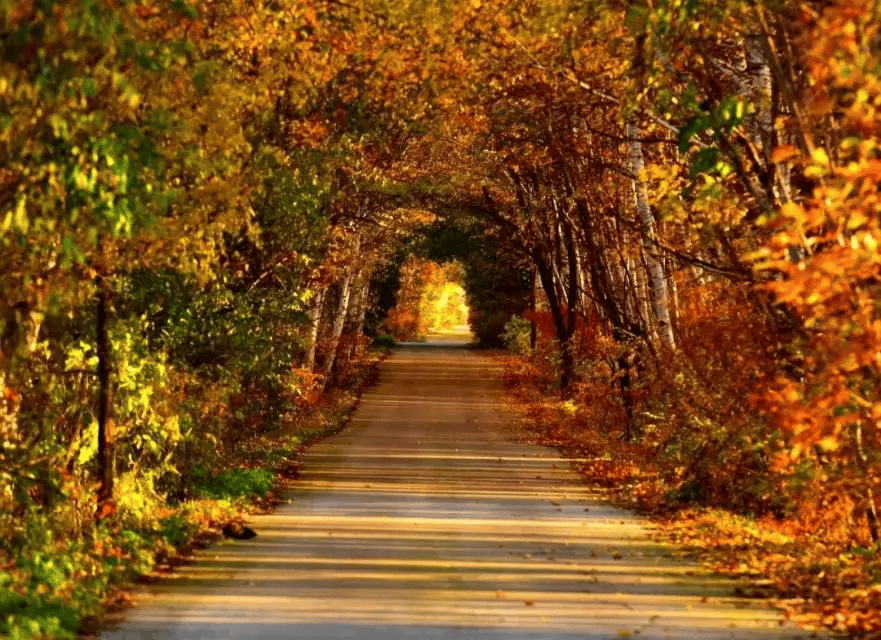 鸡西的这些山,你爬过几座?