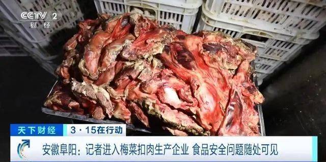 3·15“槽头肉事件”，三只羊未受任何相关部门处罚？合肥官方回应