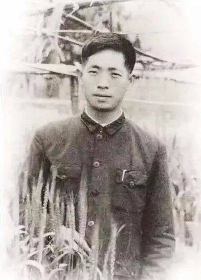 袁隆平_水稻_杂交