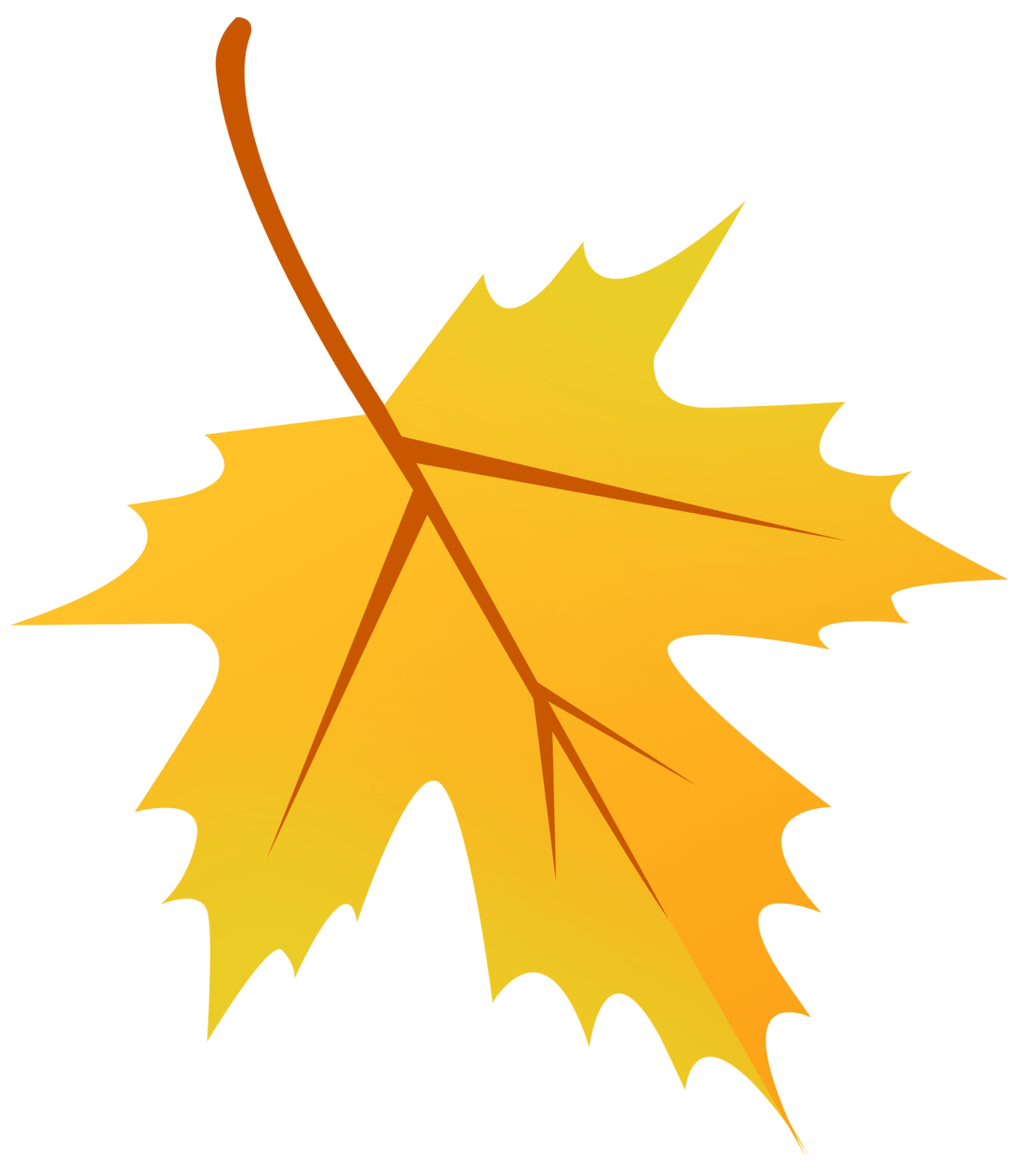 今日白露_杨晓梦_王子涵_朱晓晴