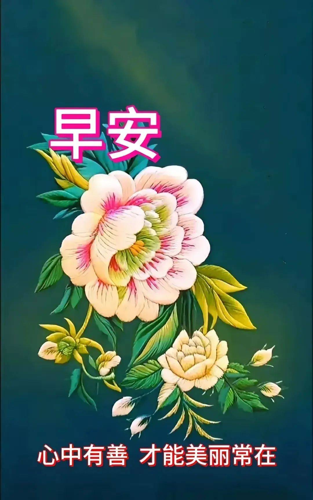 精美祝福图片集锦图片