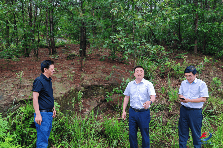 县领导杨红林到董家镇指导森林防火工作 到太平坝乡、武平镇等地检查督导森林防火工作县领导杨庆到兴义镇指