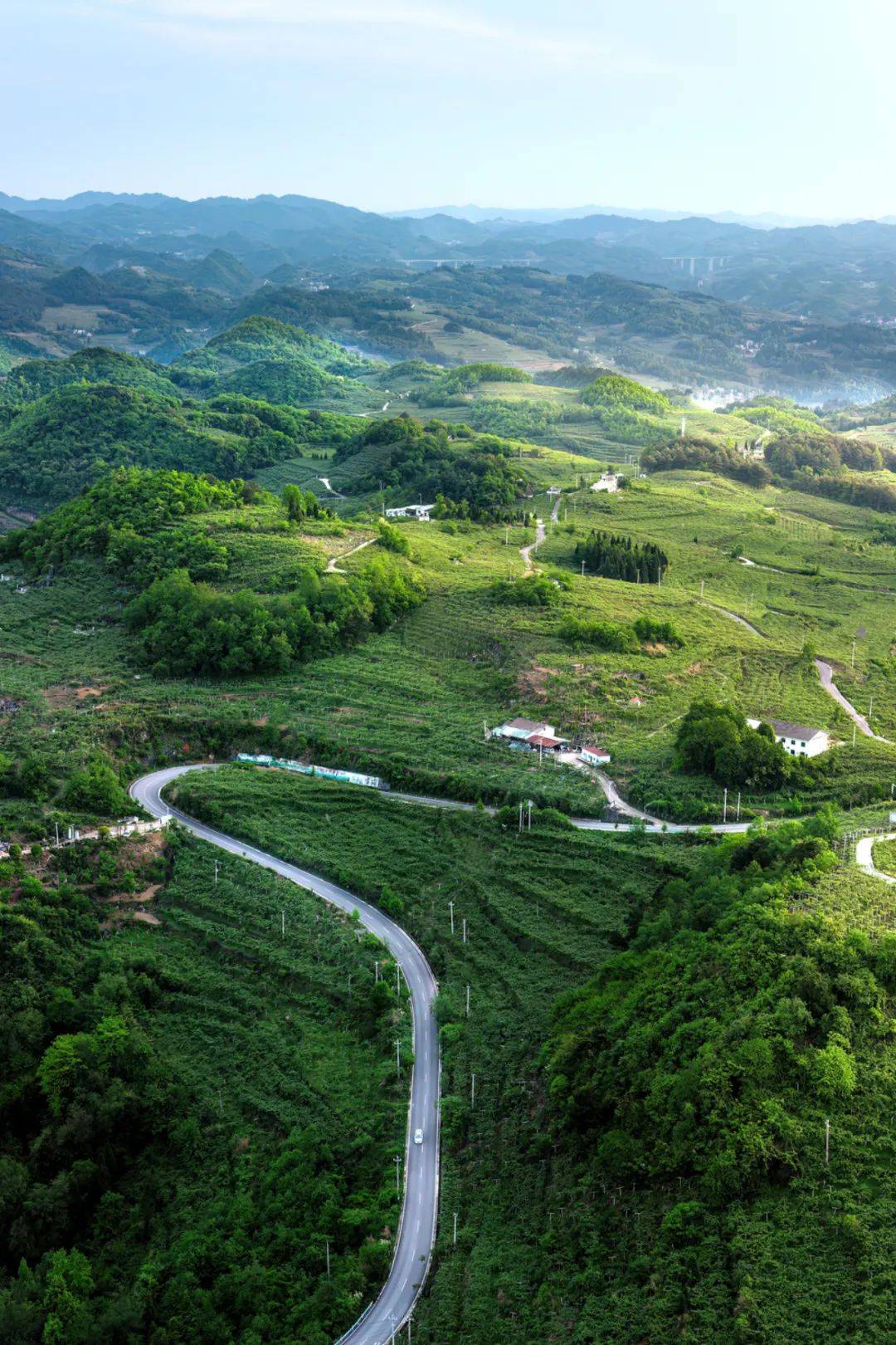 龙场悟道景区图片