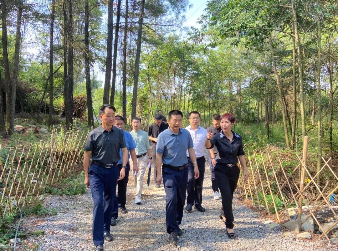 市林业局局长程劲松,红花岗区人民政府副区长熊凯锋,红花岗区相关负责