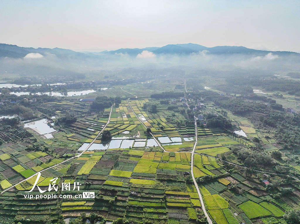 阡陌良田图片