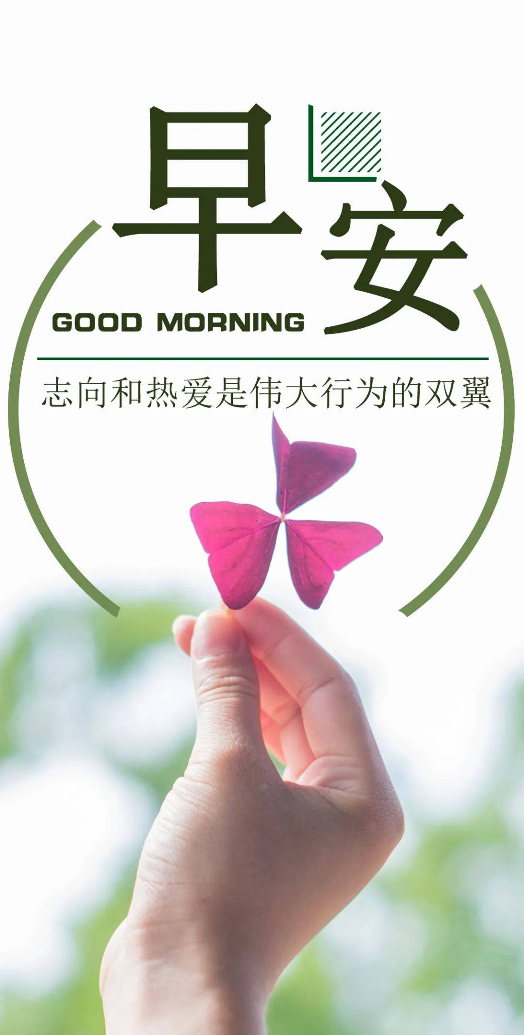 9月15日早安正能量经典语录句子:每一份坚持都是成功的累积,只要相信