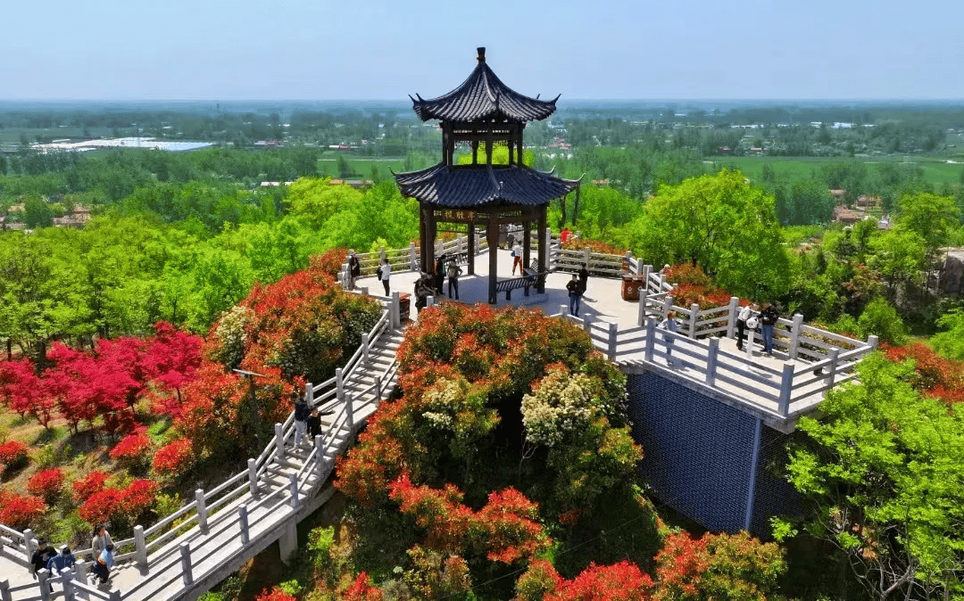 沭阳森林公园图片