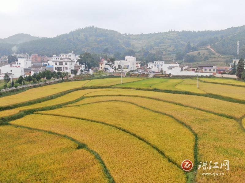 梧州零距离🌸2024澳门资料大全免费🌸|震有科技获得发明专利授权：“一种5GUPF违规业务阻断方法及相关设备”  第5张