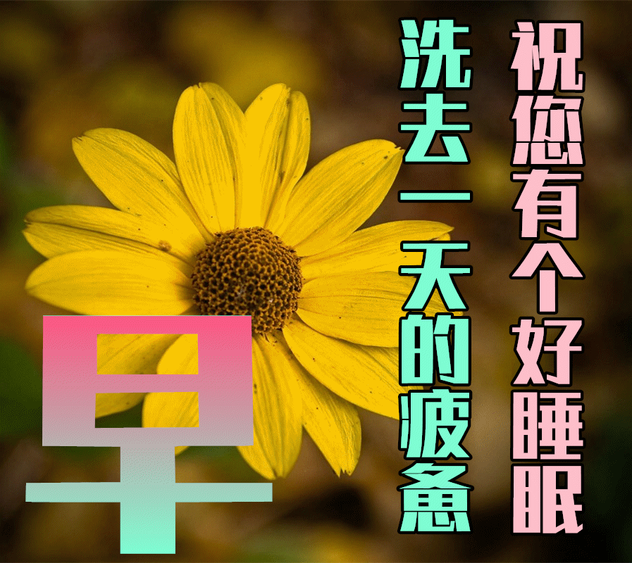 2555194921274886acbbb9db2d322d69.webp