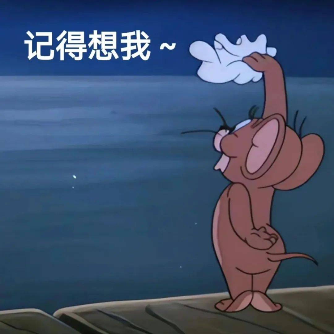 沙雕表情包,快乐不间断!