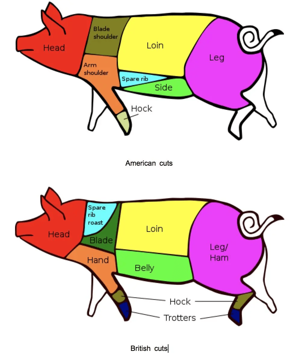 pork是什么意思中文图片