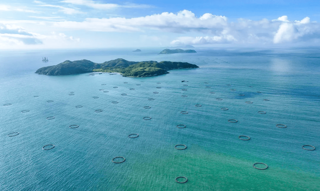 龙口海洋牧场图片