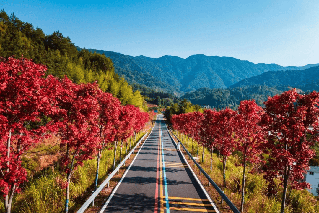 世界十大最美公路图片图片