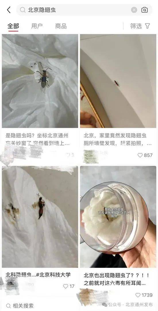 这种颜色的毒虫,千万别拍打!
