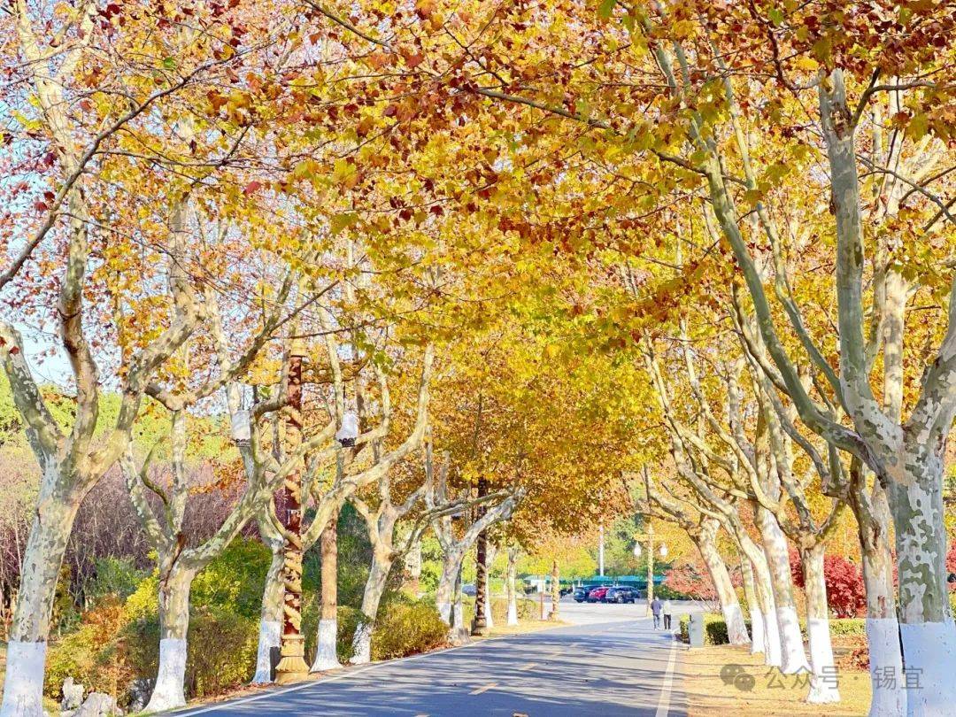 宜兴主城区文旅发展_宜兴主城区旅游潜力挖掘_宜兴市老干部局