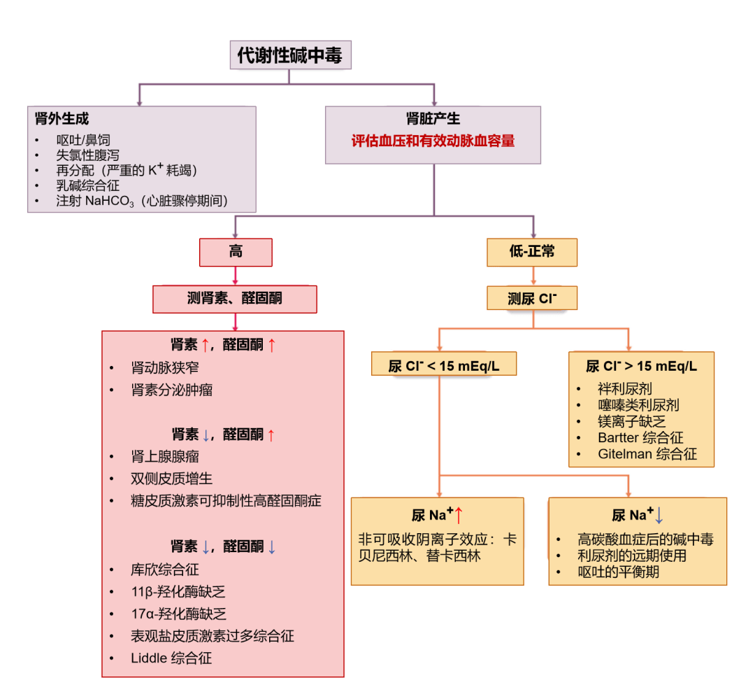 代谢性碱中毒治疗,至少掌握这 3 点 | 最新标准_患者_利尿剂_动脉血