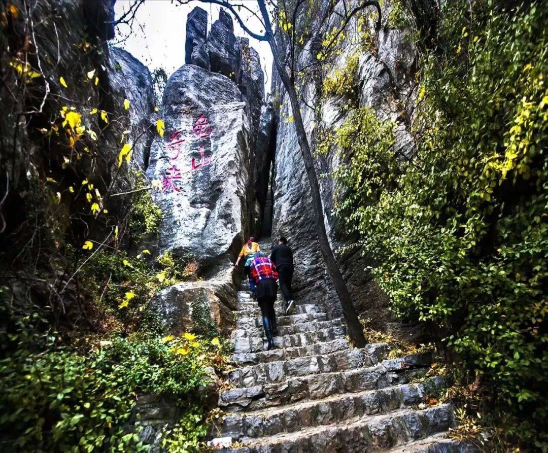 景观优美龟山风景区,位于枣庄市区东北16公里海拔331米,因其酷似伏行