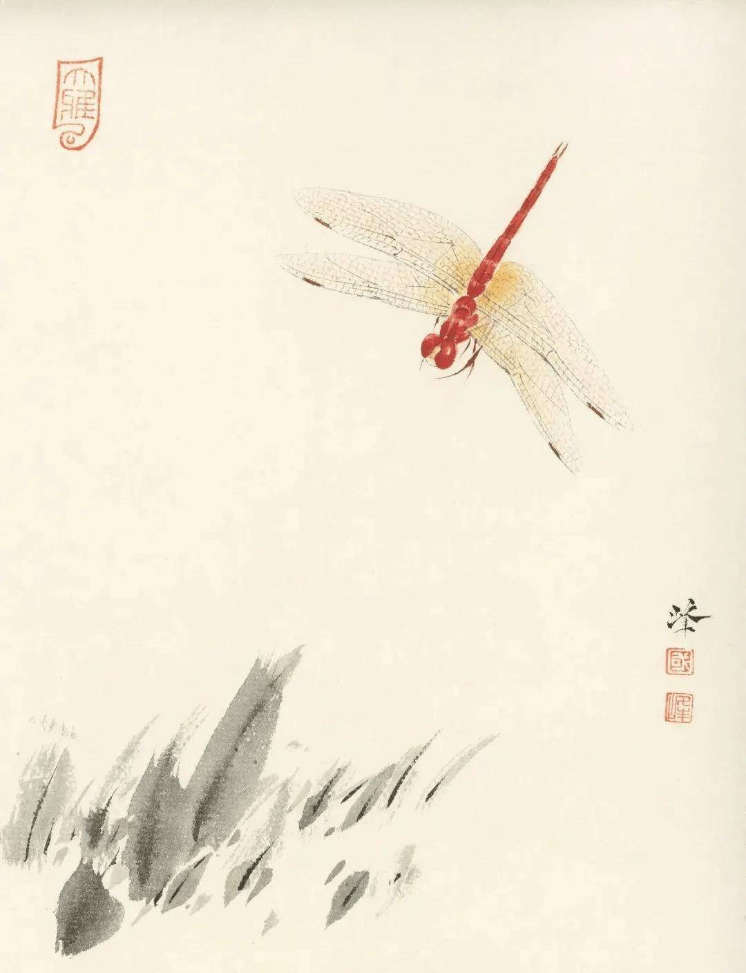 这不是摄影,这是国画:白国峰的工笔蜻蜓