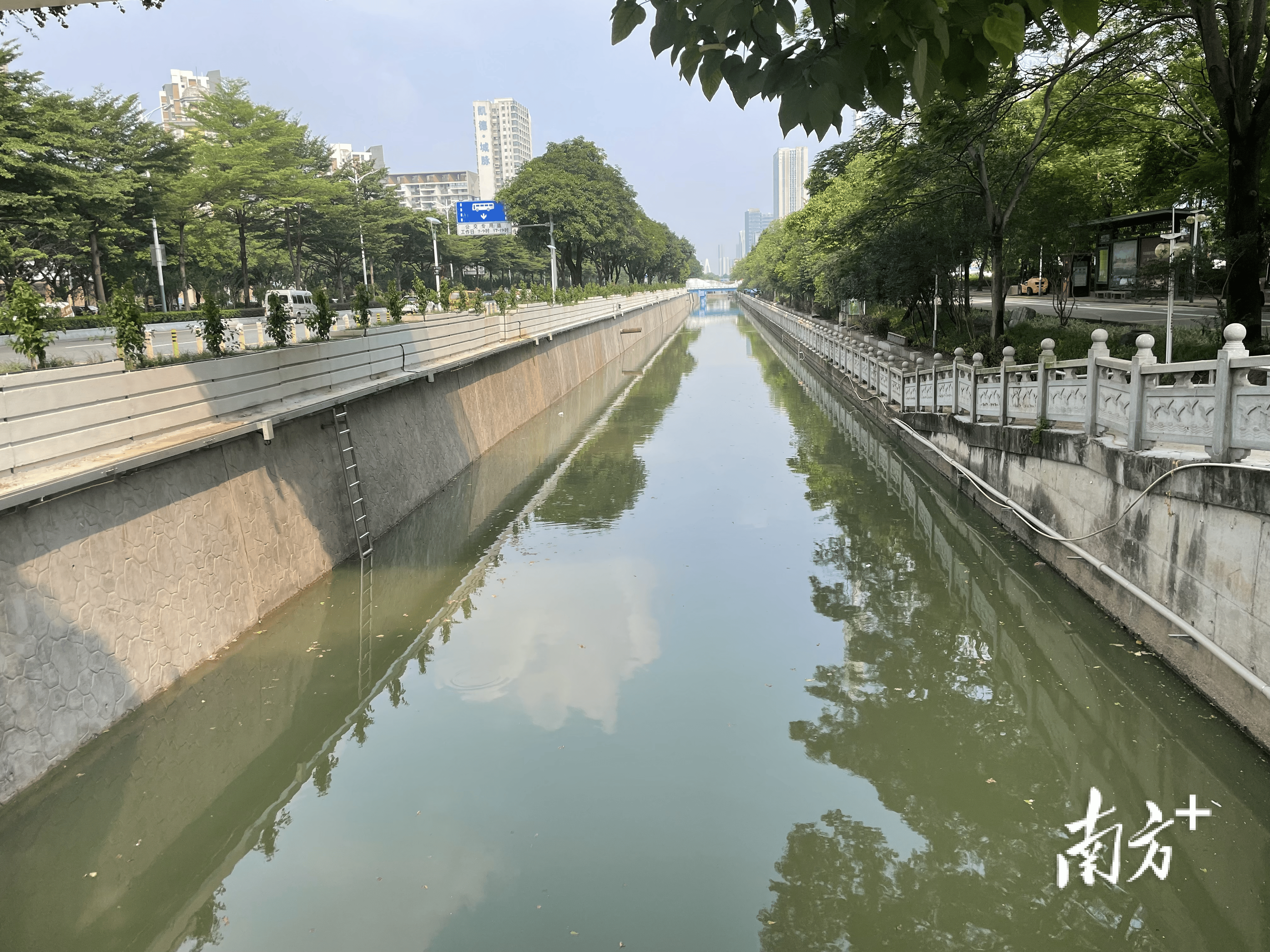 翠堤水岸图片