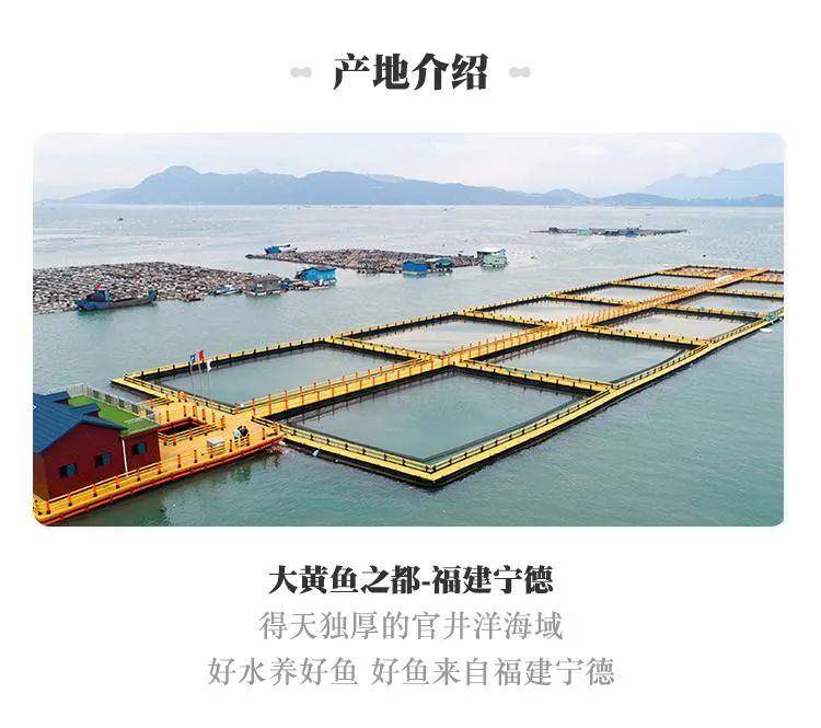 今天,商城为大家带来——源自福建宁德的『三都港·黄鱼鲞』!