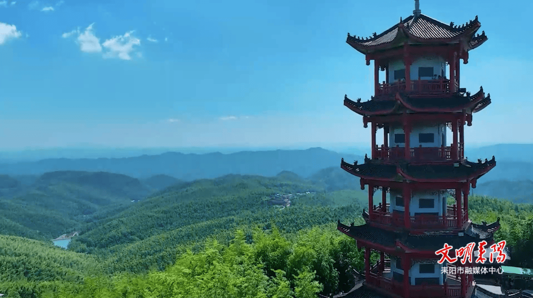 耒阳蔡伦北路鸡图片