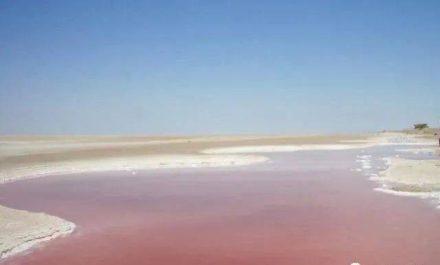 【地理知识】17个有趣的地理冷知识，涨姿势！有哪些地理上的事实，没有一定地理知识的人不会相信？地球比尔泰维勒世界 