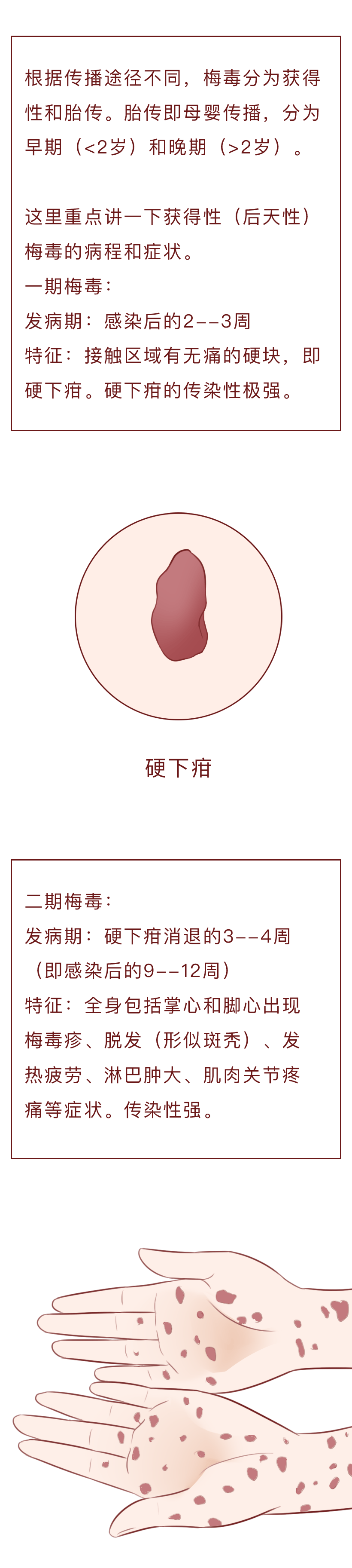 梅毒传染的途径有哪些图片