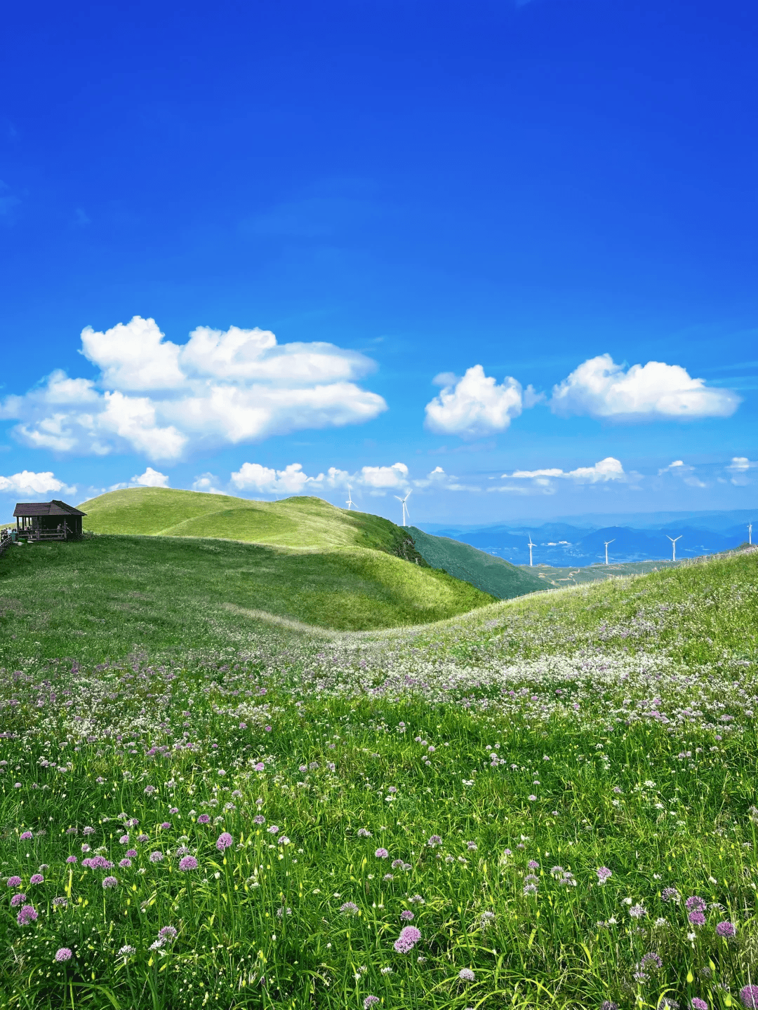 最美草原风景图片图片